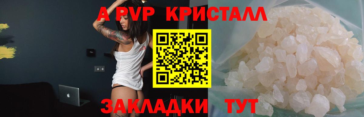 Alfa_PVP СК Кострома