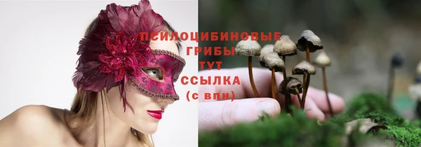 ALPHA-PVP Осташков