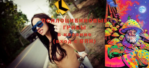 PSILOCYBIN Осинники