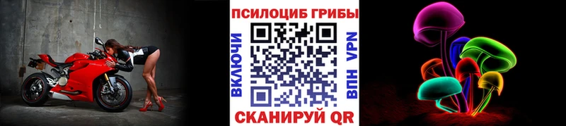 это как зайти  Кострома  Псилоцибиновые грибы MAGIC MUSHROOMS  купить закладку  blacksprut ТОР 