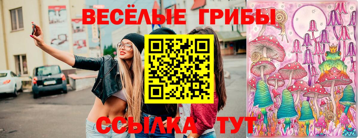 Псилоцибиновые грибы ЛСД Кострома