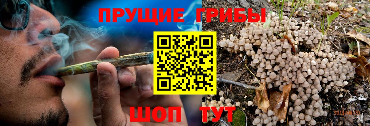 Кострома  Галлюциногенные грибы Psilocybe  Псилоцибиновые грибы мицелий  Вход с VPN 